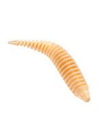 Приманка ZUB-MAGGOT SLIM 22мм(0,9")-20шт, (цвет 303) телесный