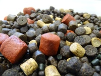 Форелевый пеллетс BLACK HALIBUT аромат ЛОСОСЬ MIX КРАСНЫЙ+ЧЕРНЫЙ-6 мм. в контейнере